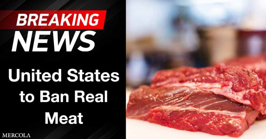united-states-to-ban-real-meat