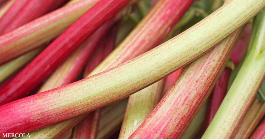 how-rhubarb-might-ward-off-colon-disease