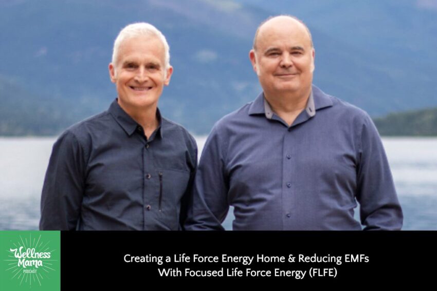 536:-creating-a-life-force-energy-home-&-reducing
emfs-with-focused-life-force-energy-(flfe)