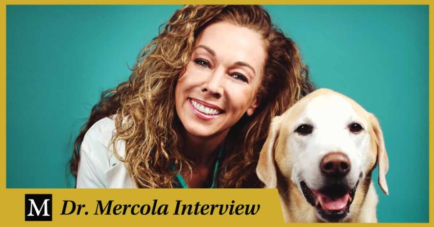 dr-mercola-interviews-dr.-karen-becker