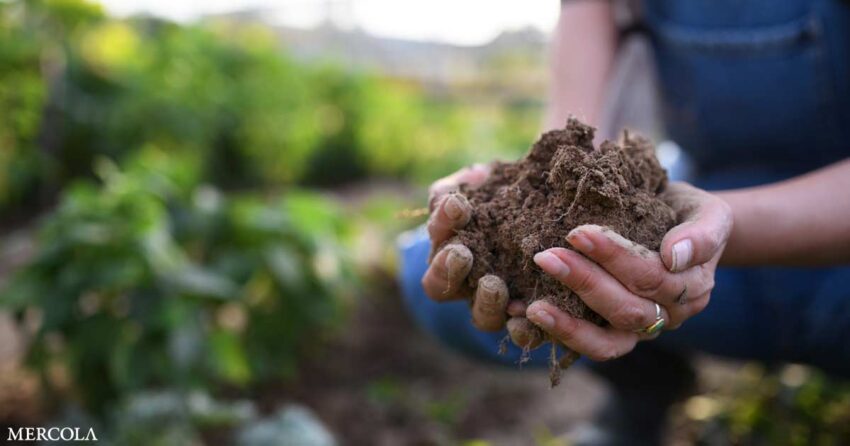 top-6-reasons-to-support-regenerative-agriculture