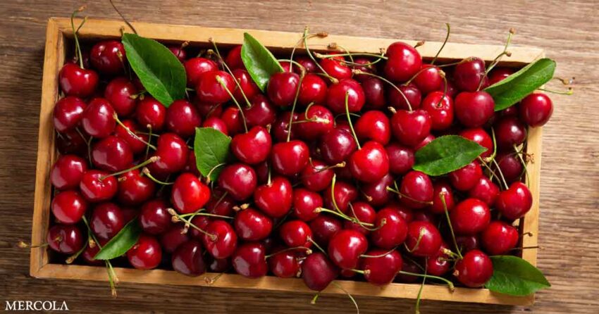 cherries-—-a-potent-super-food