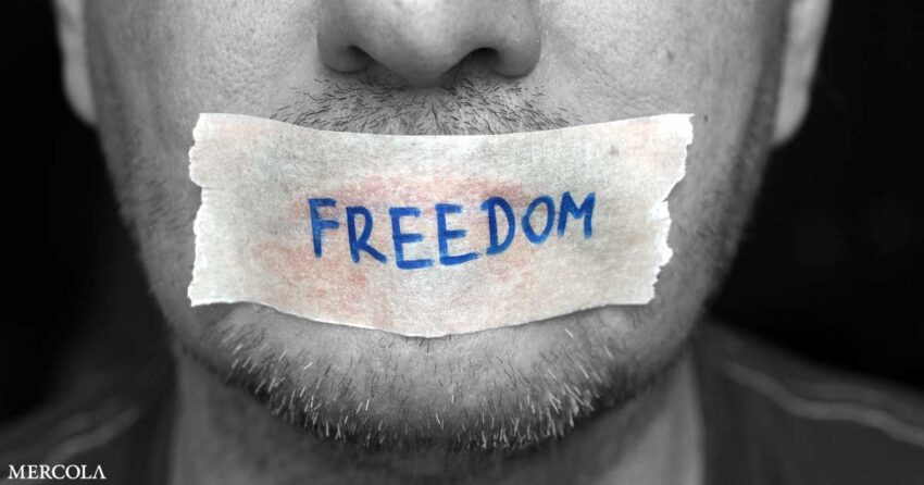 when-freedom-of-speech-is-no-longer-free