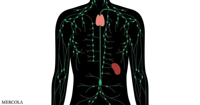 improve-your-physical-and-psychological-health-with-this
simple-lymphatic-drainage-routine