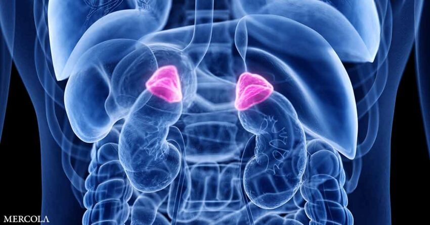 adrenal-fatigue:-what-it-is-and-how-to-treat-it