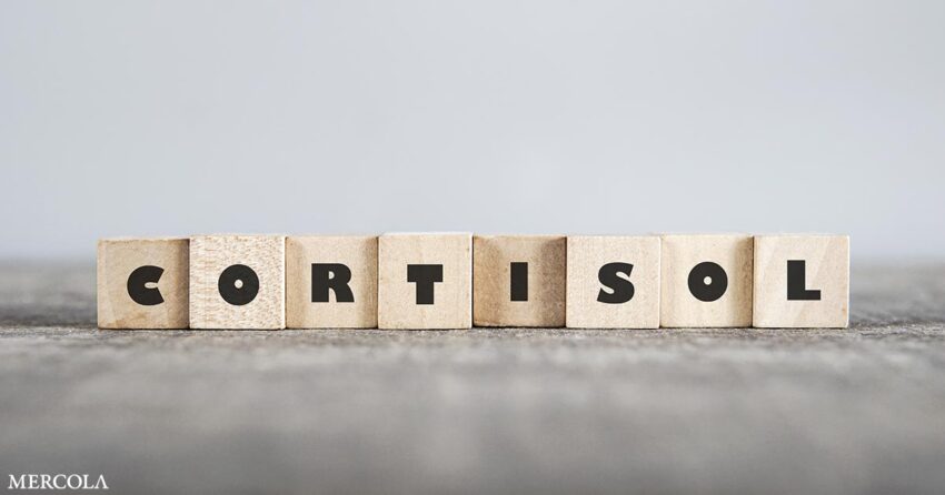 key-strategies-to-reduce-your-cortisol-levels