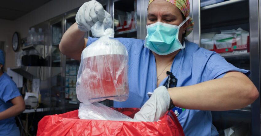 first-person-to-receive-pig-kidney-transplant-dies-nearly
two-months-later