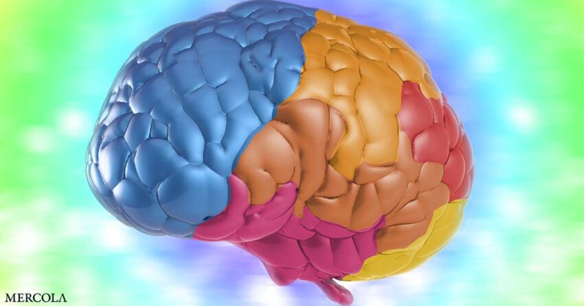‘strong-and-consistent-evidence’-links-multivitamins-to
memory-and-cognitive-benefits