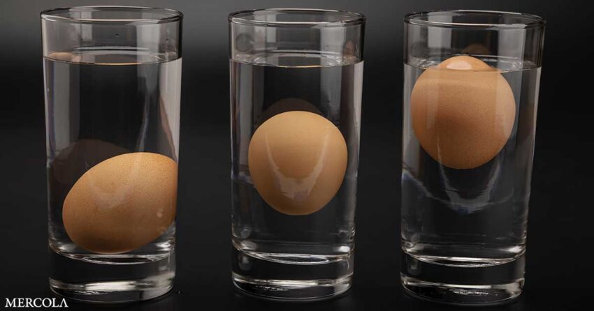 how-can-you-tell-if-eggs-have-expired?