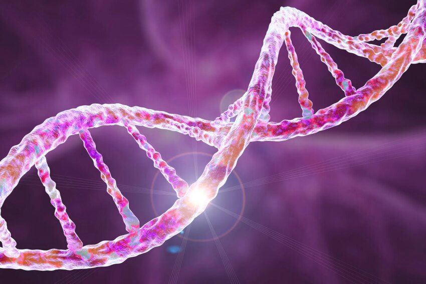 expert-q&a:-alzheimer’s-risk-and-the-apoe4
gene