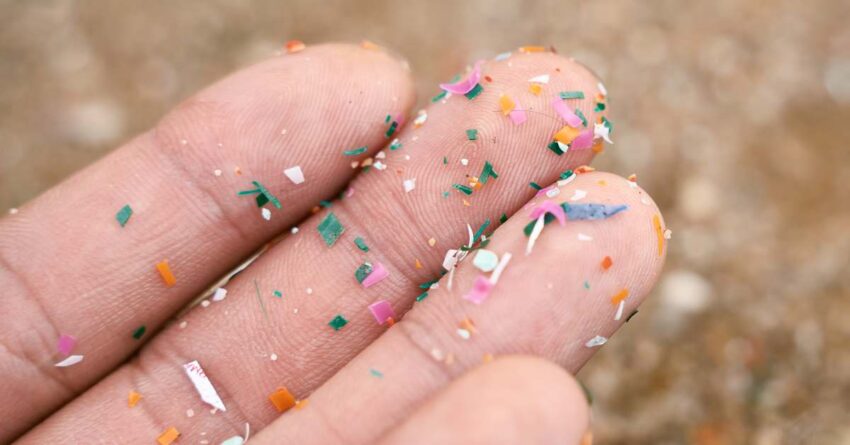 study-finds-microplastics-in-testicles,-with-possible
fertility-effects